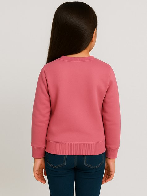 Blusa de Moletom Infantil Unissex Sem Capuz (Rosa)